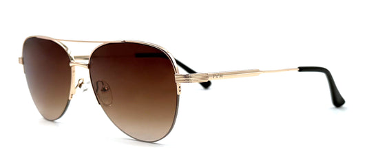 The Golden Aviator