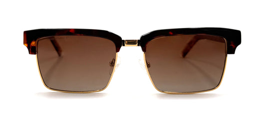 The Classic Clubmaster Tortoiseshell