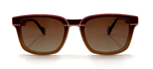 The Retro Red Tortoise