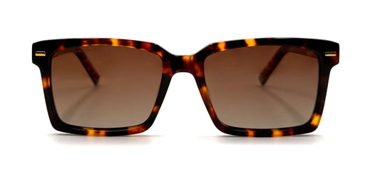 The Essential Tortoise