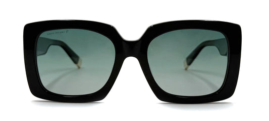 The Jungle Butterfly