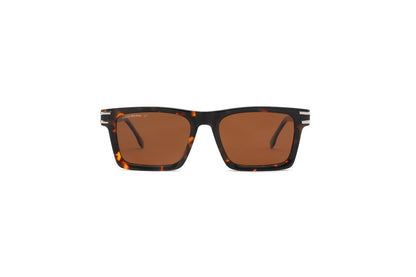 Evander - Tortoiseshell