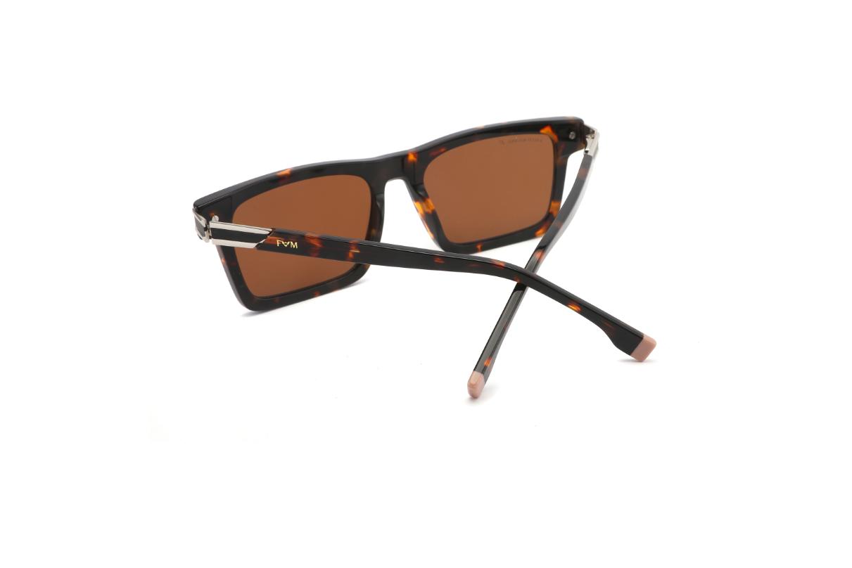 Evander - Tortoiseshell