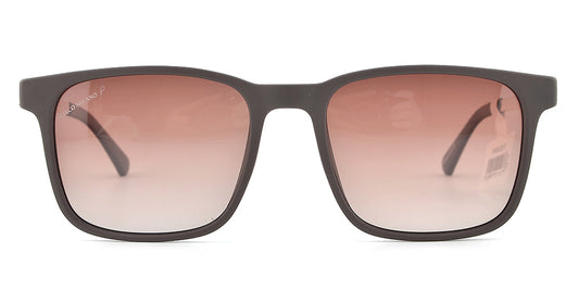 Sloane - Brown & Gold