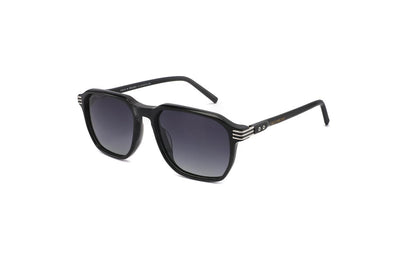 York - Black