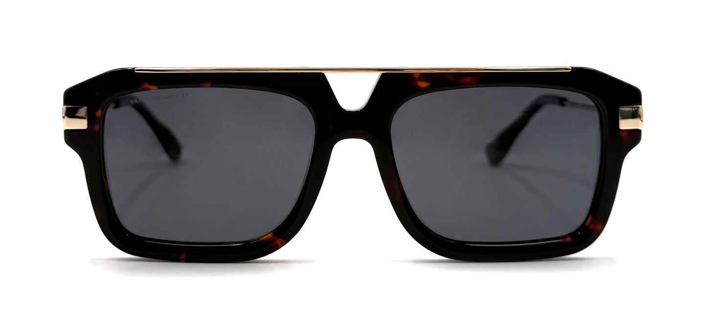 The Tortoise Jetsetter