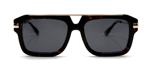 The Tortoise Jetsetter