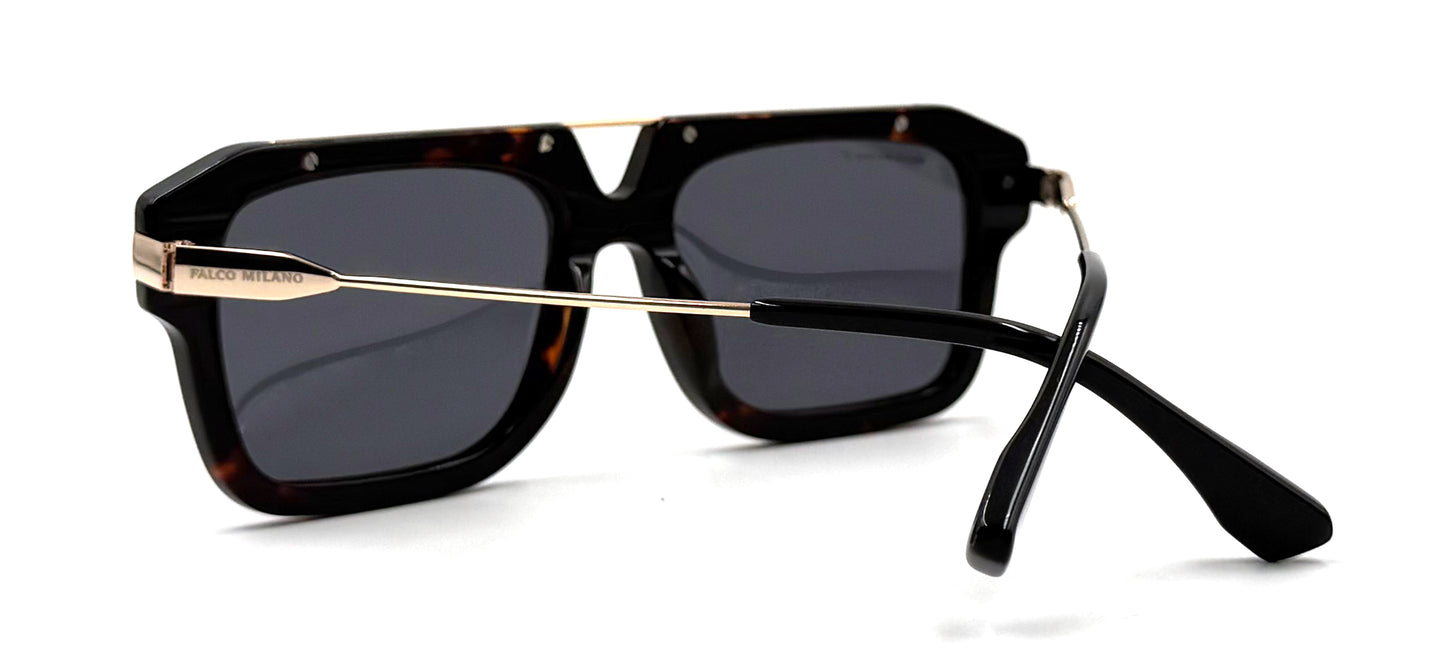 The Tortoise Jetsetter