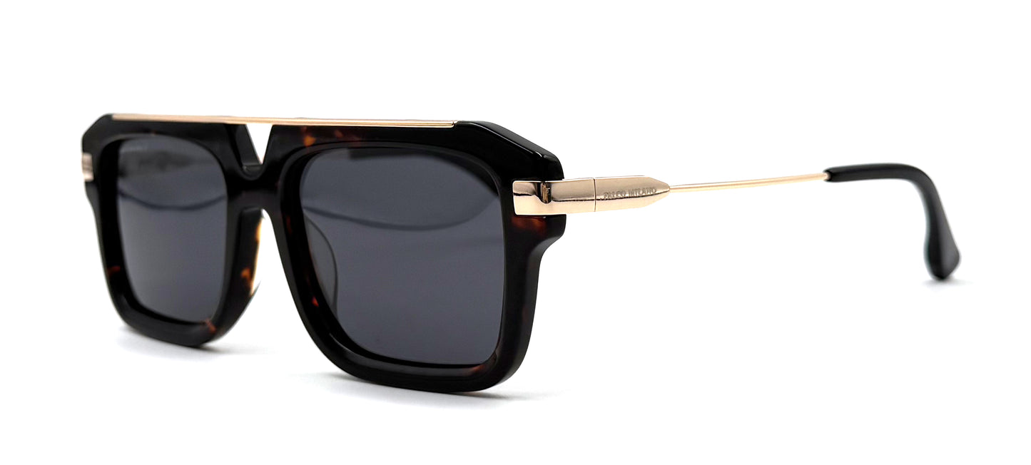 The Tortoise Jetsetter