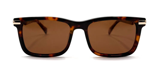 The Tortoise Architect