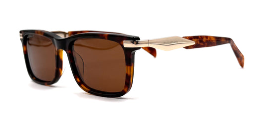 The Tortoise Architect