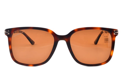 Tortoise Muse Wayfarer