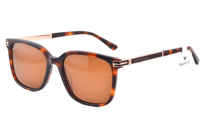 Tortoise Muse Wayfarer