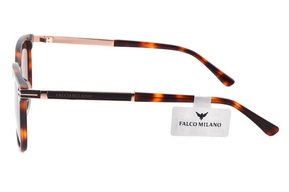Tortoise Muse Wayfarer