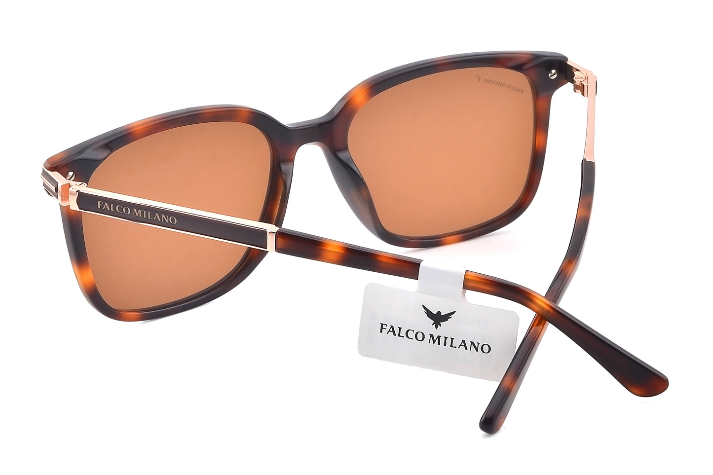 Tortoise Muse Wayfarer