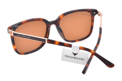 Tortoise Muse Wayfarer