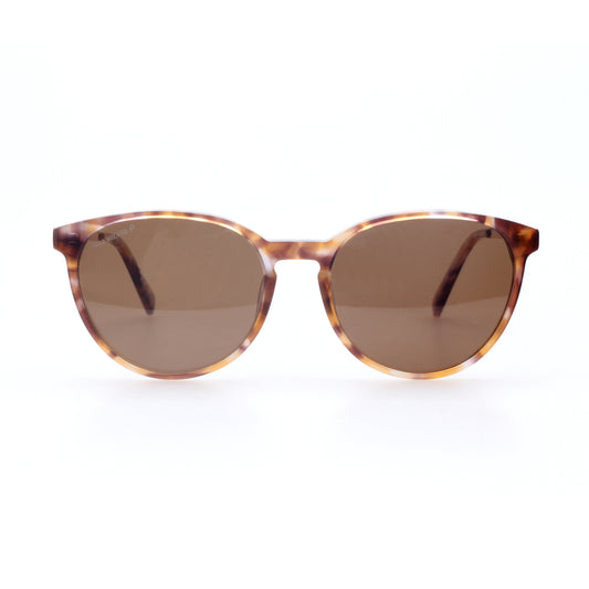 Lakelynn - Tortoiseshell