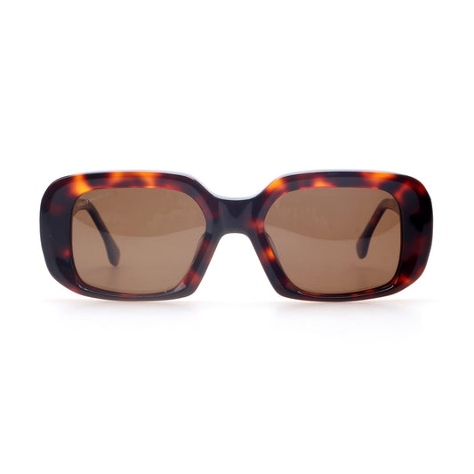 Gwen - Tortoiseshell