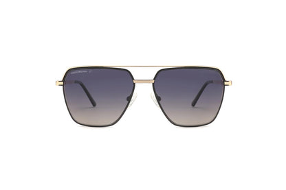 Lucan - Black & Gold