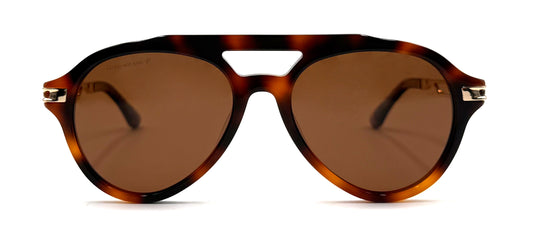 The Tortoise Urban Aviator