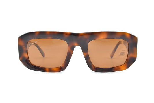 Flynn - Tortoiseshell