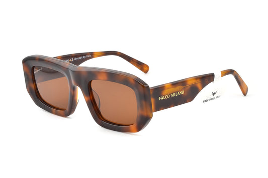 Flynn - Tortoiseshell