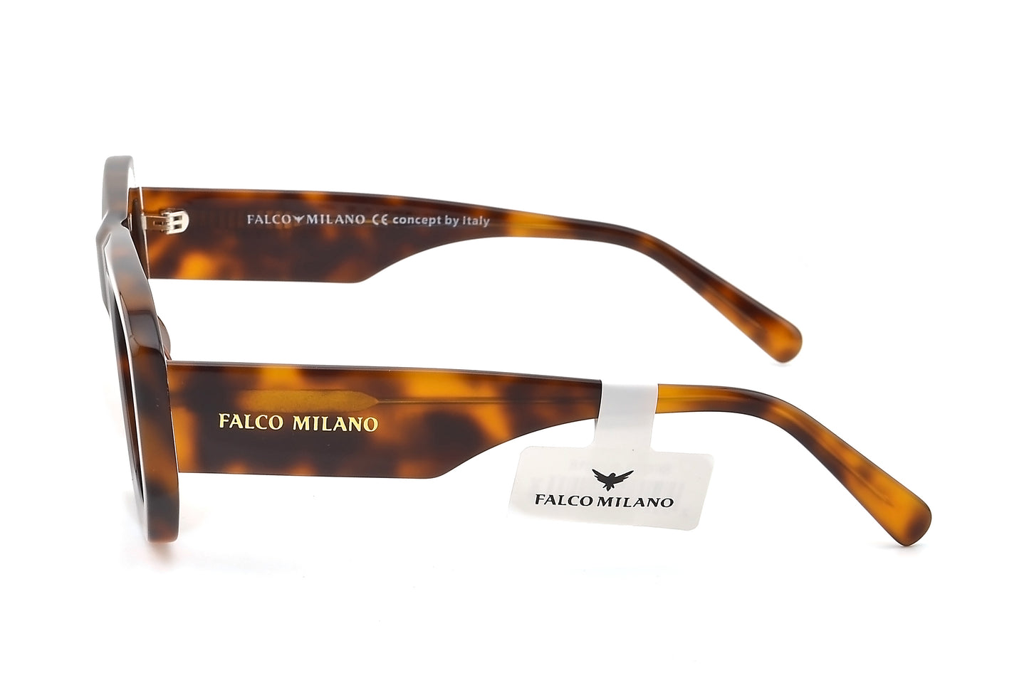 Flynn - Tortoiseshell