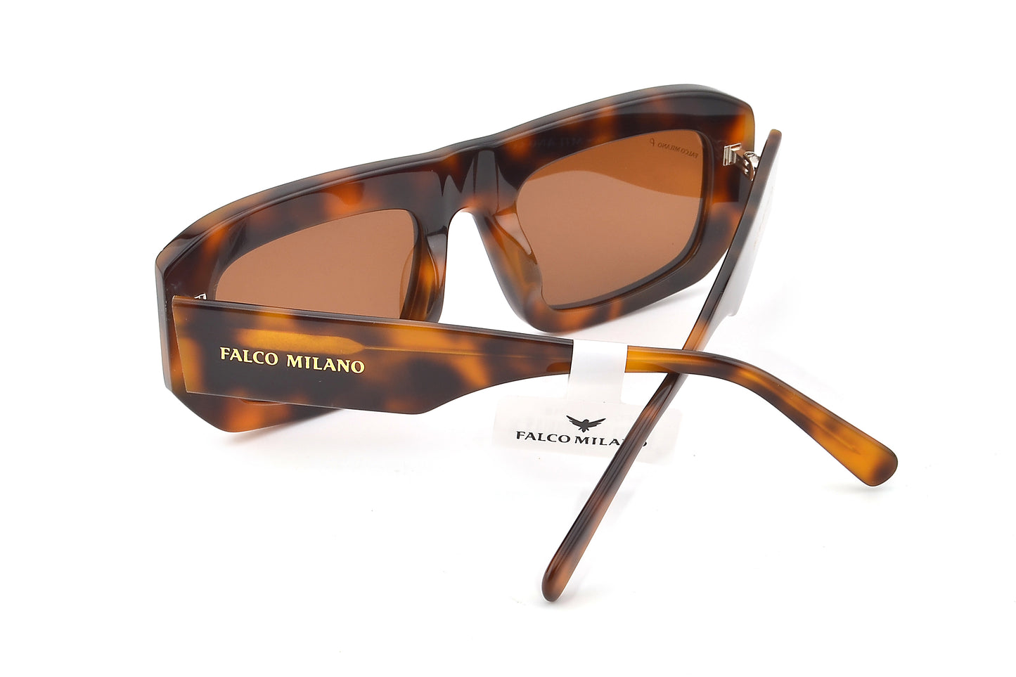 Flynn - Tortoiseshell