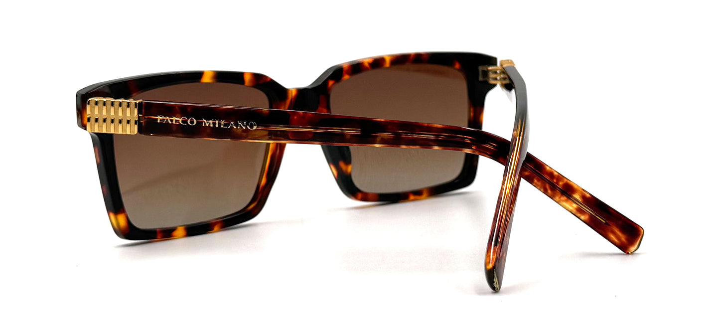 The Essential Tortoise