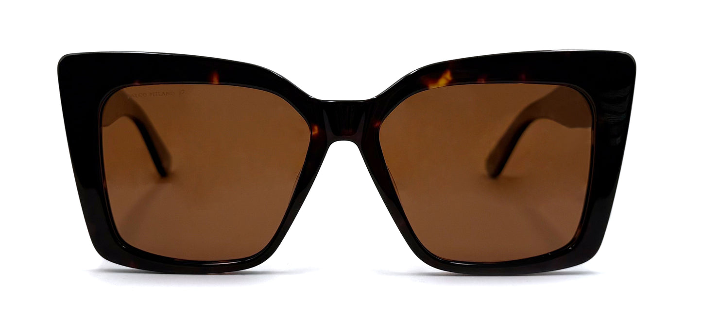 The Solid Tortoise Butterfly