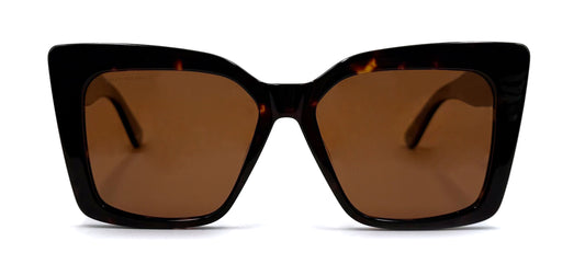 The Solid Tortoise Butterfly