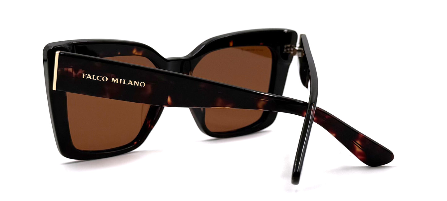 The Solid Tortoise Butterfly