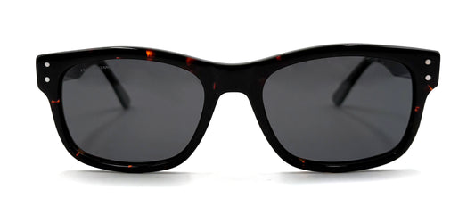 The Essential Tortoise