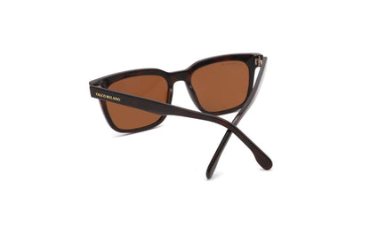 Pere - Brown Tortoiseshell